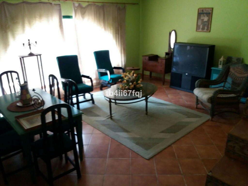 Detached Villa Atalaya Málaga - image 20
