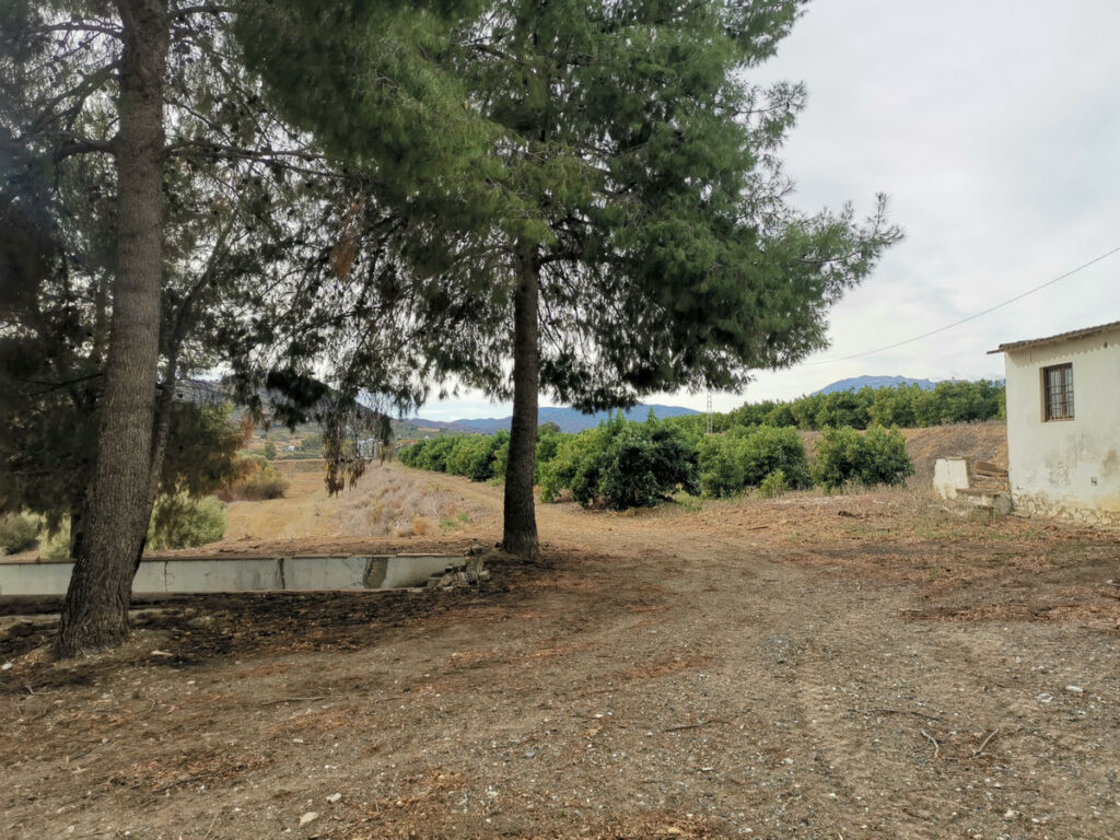 Land Coín Málaga - image 19