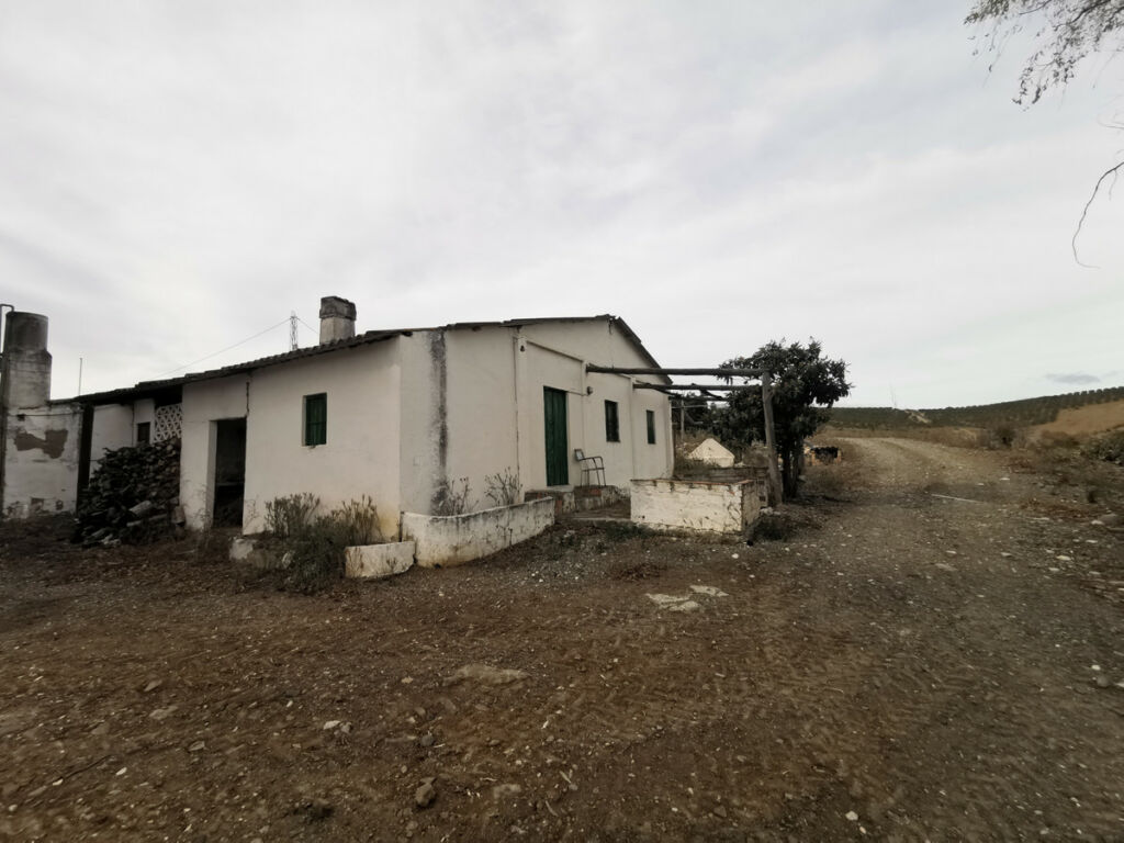 Land Coín Málaga - image 20
