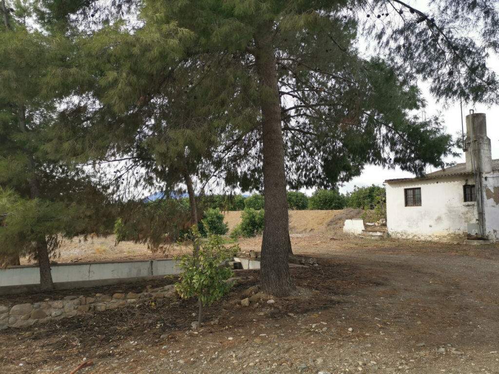 Land Coín Málaga - image 21