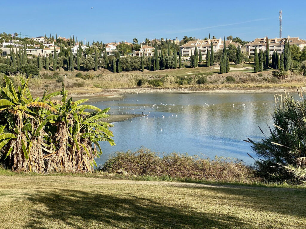 Detached Villa Benahavís Málaga - image 29