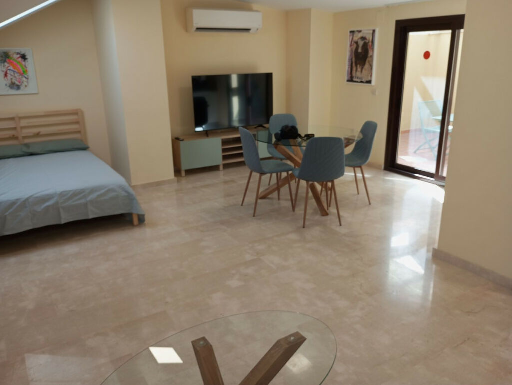 Top Floor Studio Málaga Centro Málaga - image 3