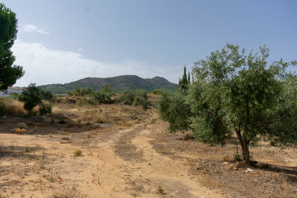 Residential Plot Alhaurín de la Torre Málaga - image 3