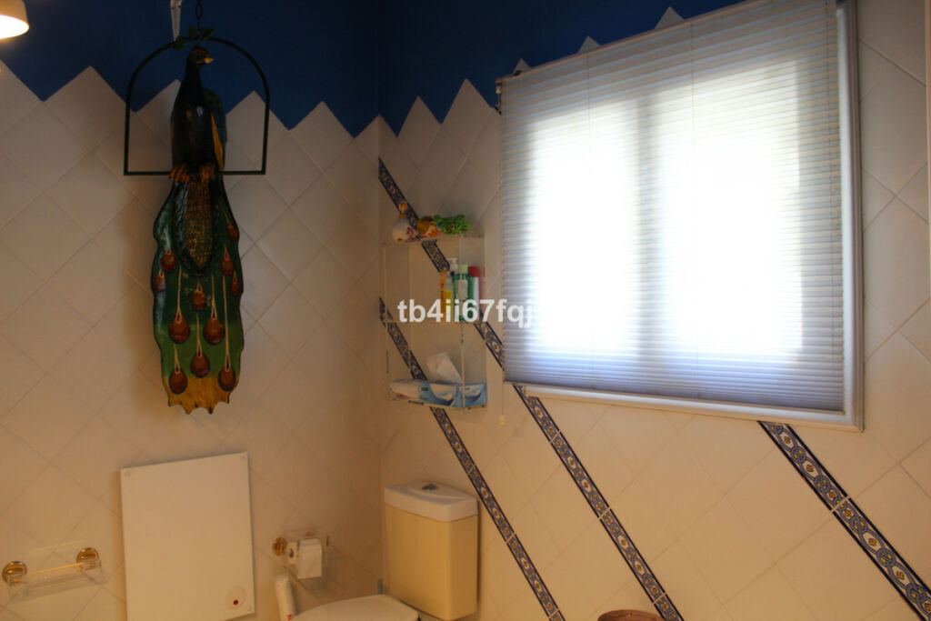 Detached Villa Atalaya Málaga - image 35