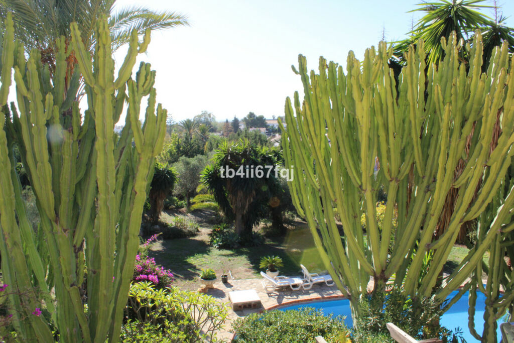 Detached Villa Atalaya Málaga - image 5