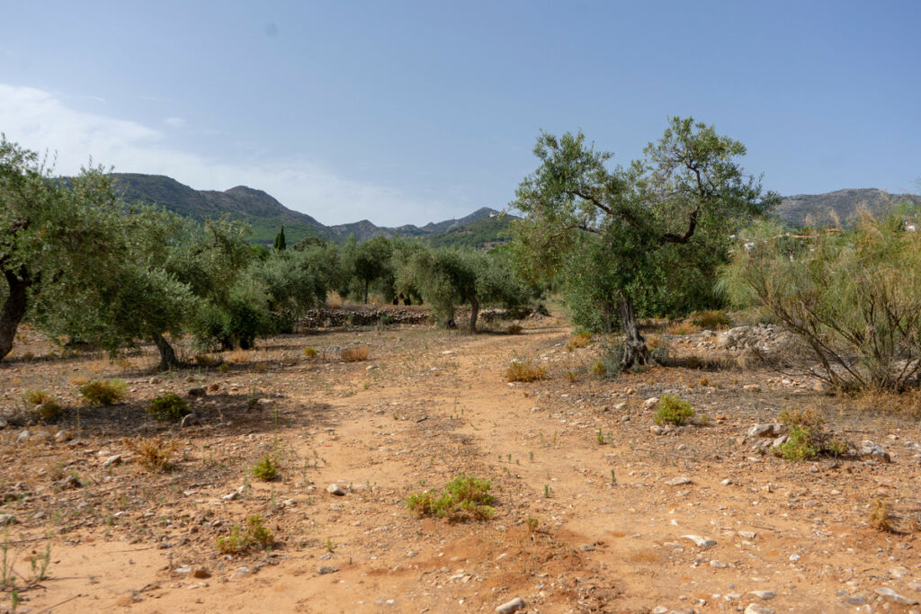 Residential Plot Alhaurín de la Torre Málaga - image 4