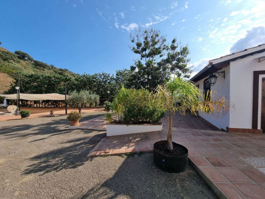 Finca - Cortijo Málaga Málaga - image 4