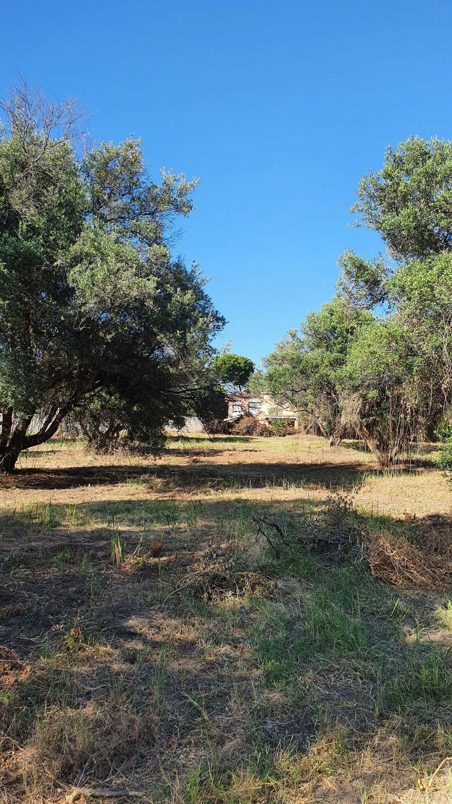 Land San Pedro de Alcántara Málaga - image 4