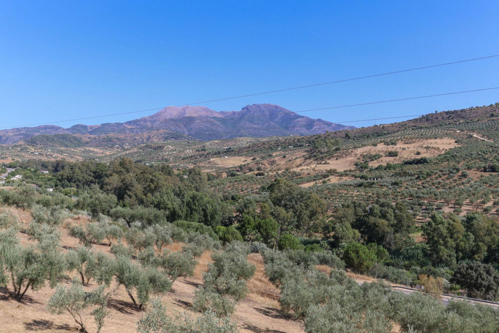 Detached Villa Guaro Málaga - image 43