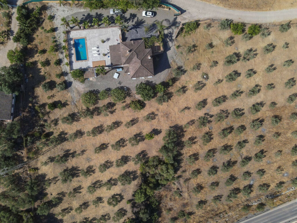 Detached Villa Guaro Málaga - image 45