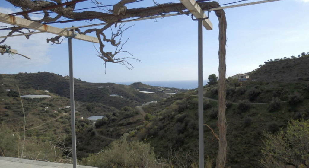 Finca - Cortijo Torrox Málaga - image 5