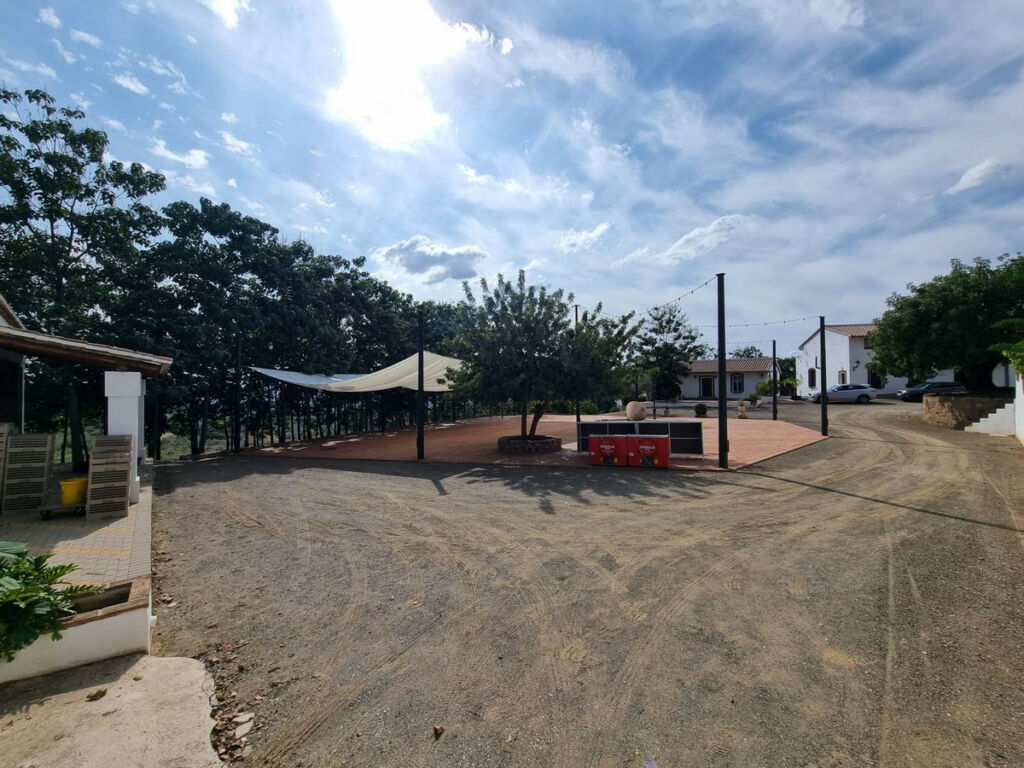 Finca - Cortijo Málaga Málaga - image 5