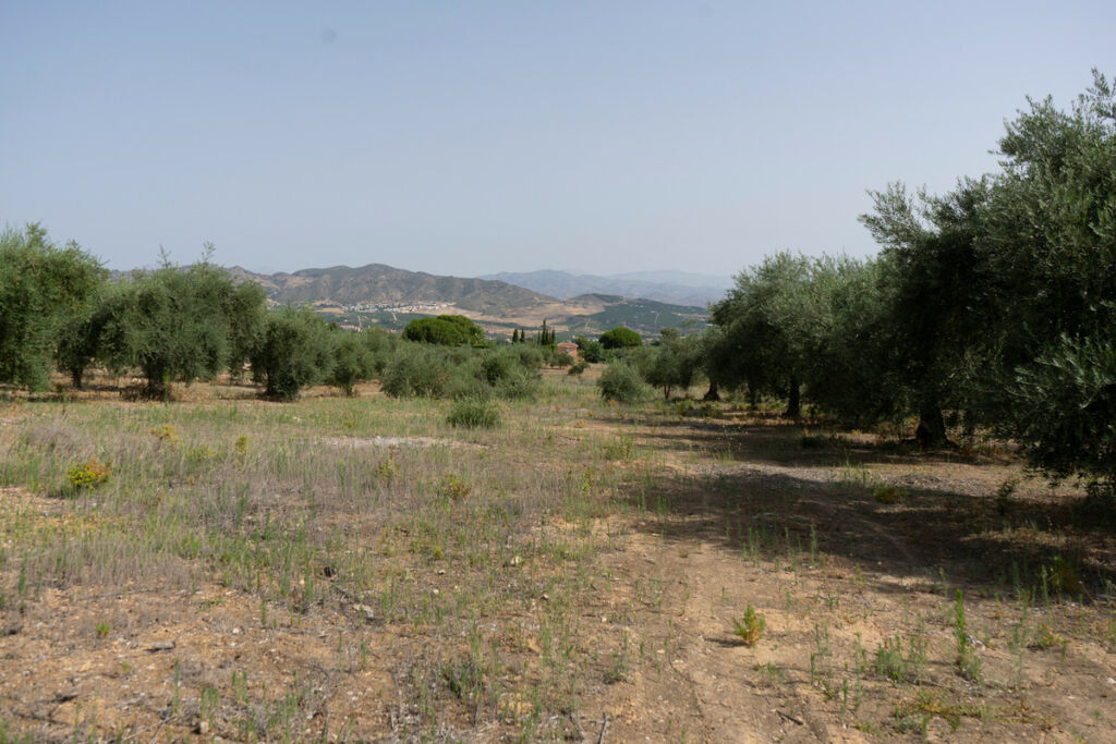 Residential Plot Alhaurín de la Torre Málaga - image 5