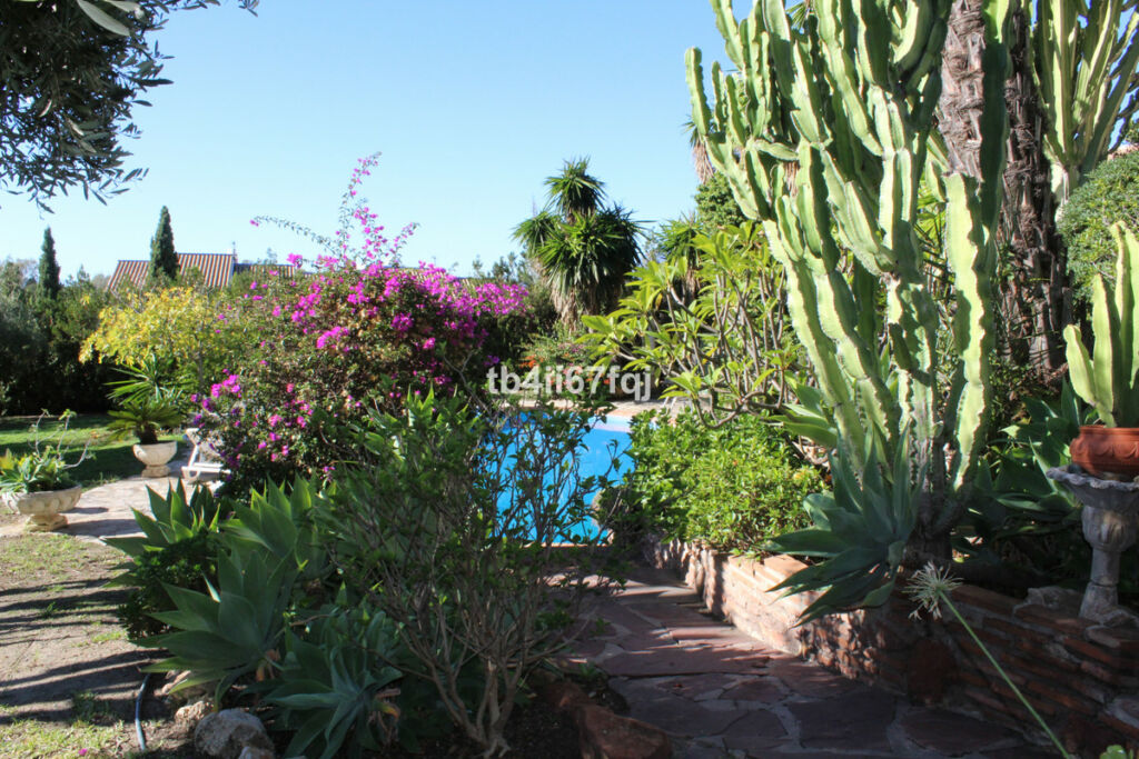 Detached Villa Atalaya Málaga - image 4