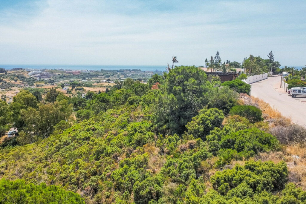 Land Benahavís Málaga - image 6