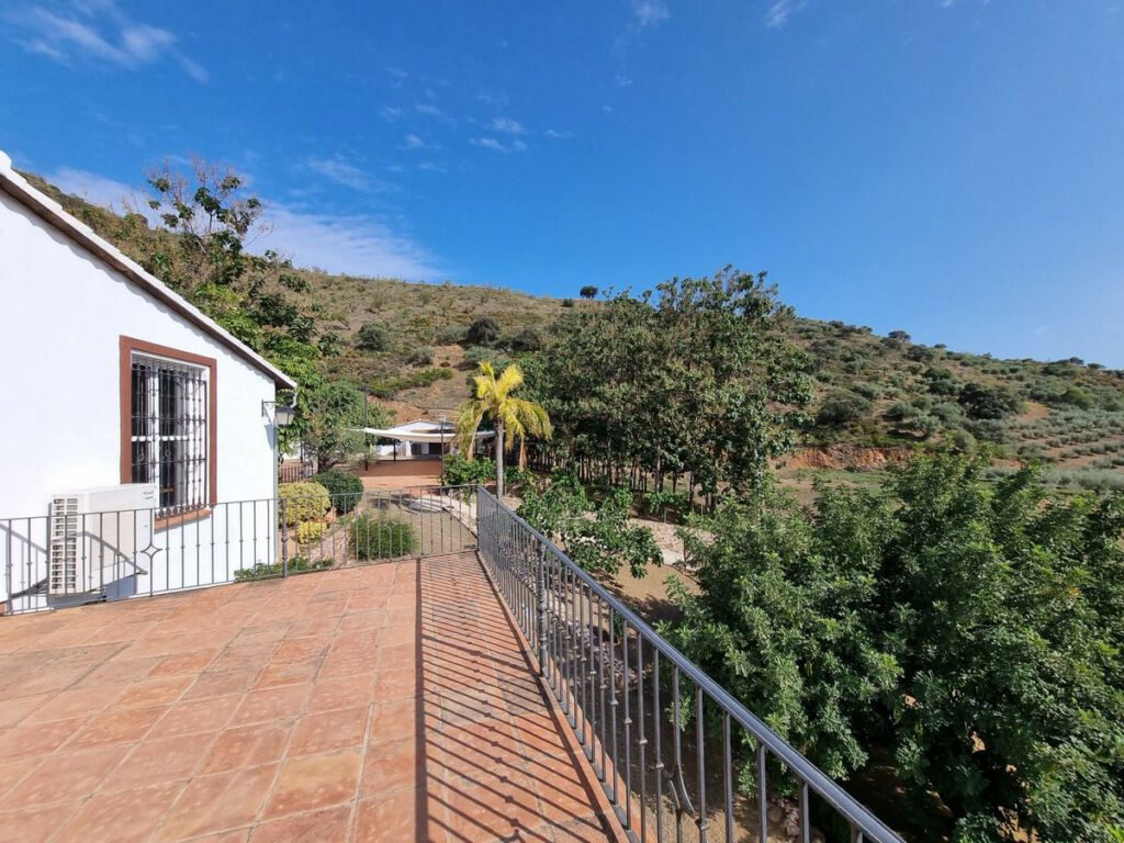 Finca - Cortijo Málaga Málaga - image 6