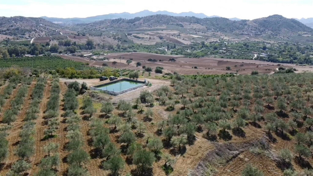 Land Coín Málaga - image 7