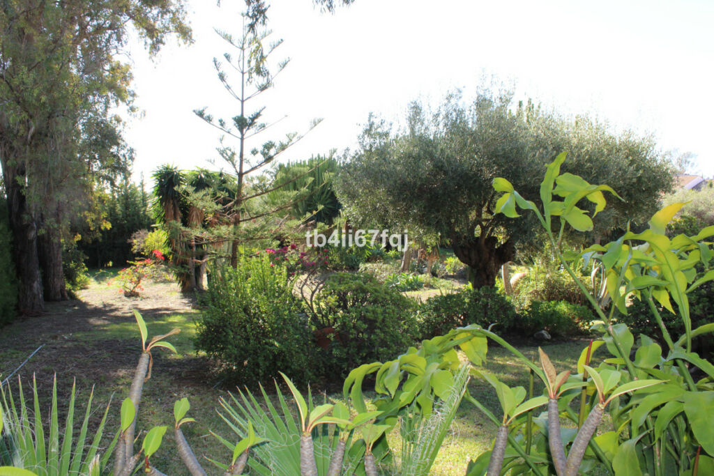 Detached Villa Atalaya Málaga - image 7