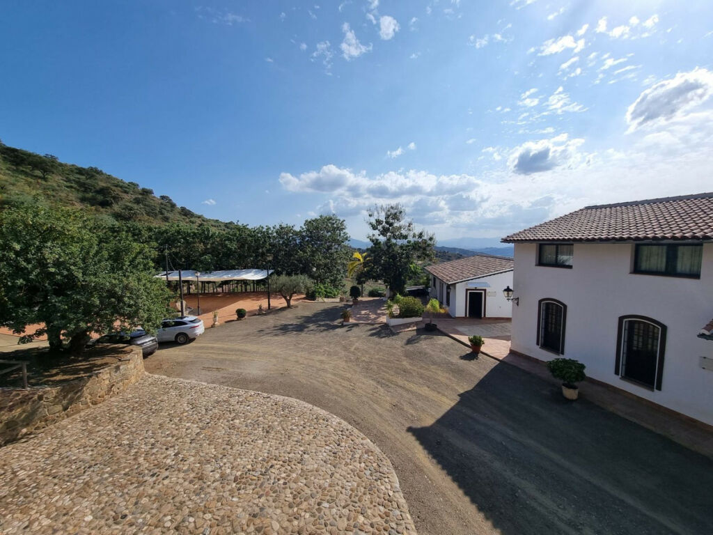 Finca - Cortijo Málaga Málaga - image 8