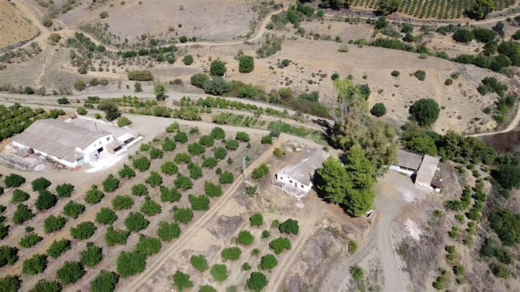 Land Coín Málaga - image 8