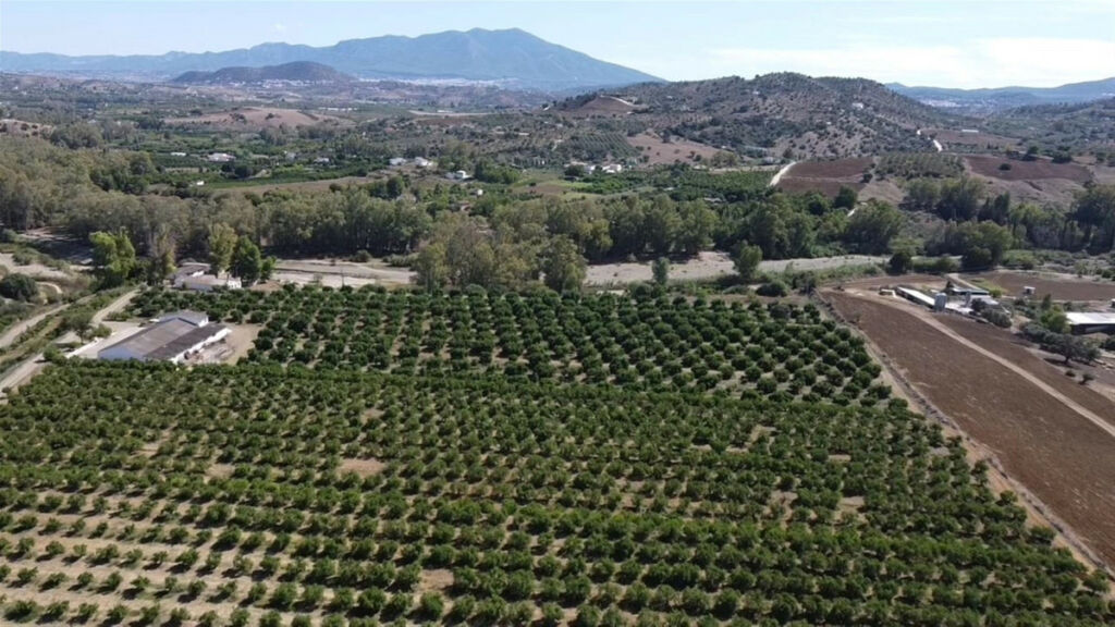 Land Coín Málaga - image 9