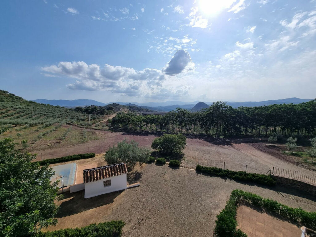 Finca - Cortijo Málaga Málaga - image 9