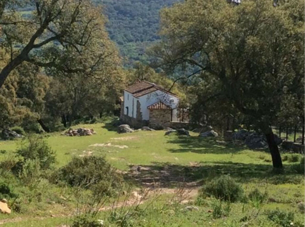 Finca - Cortijo Cortes de la Frontera Málaga - image 3