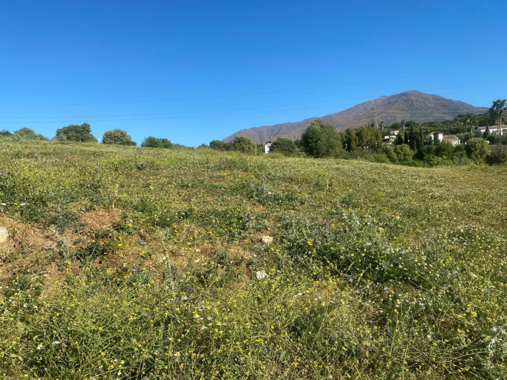 Residential Plot Valle Romano Málaga