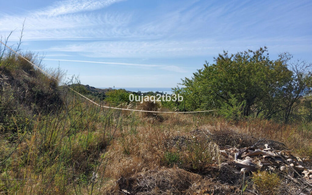 Finca - Cortijo Mijas Málaga - image 15