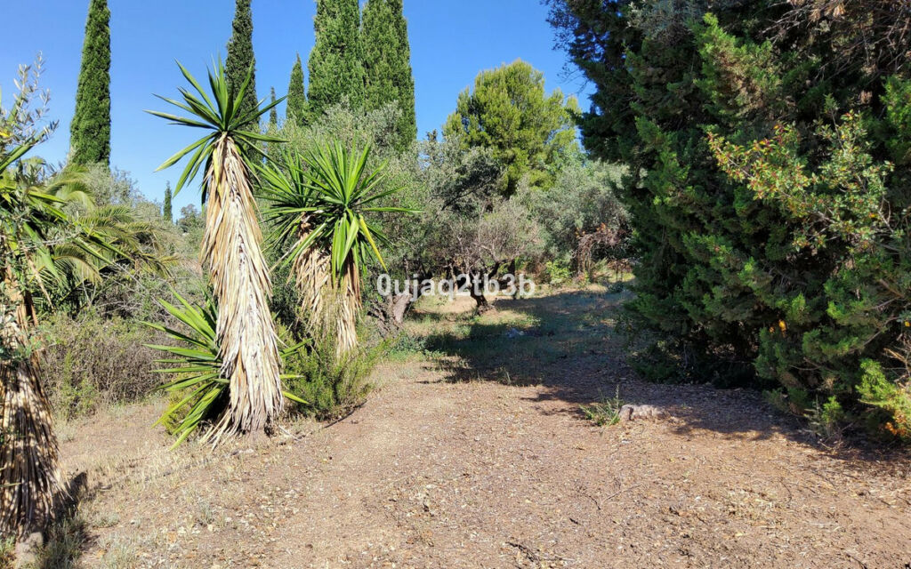Finca - Cortijo Mijas Málaga - image 16