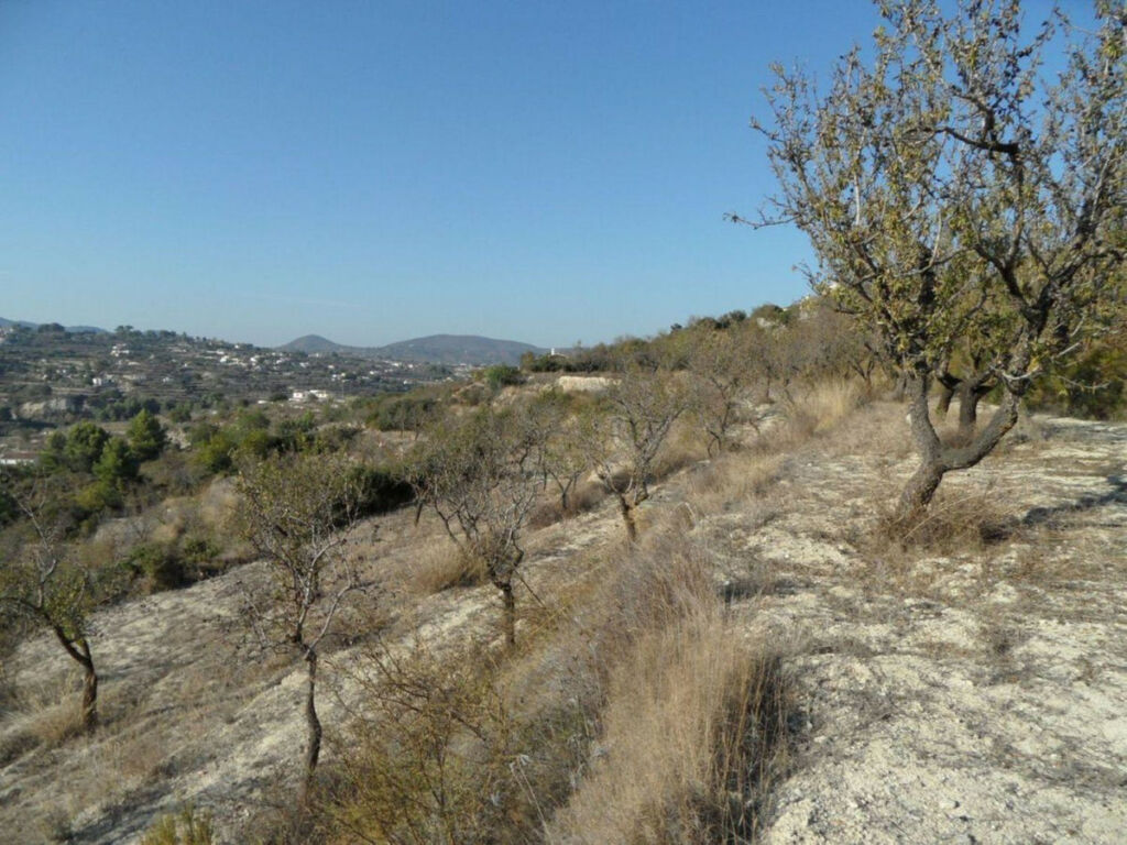 Land Benissa Alicante - image 16