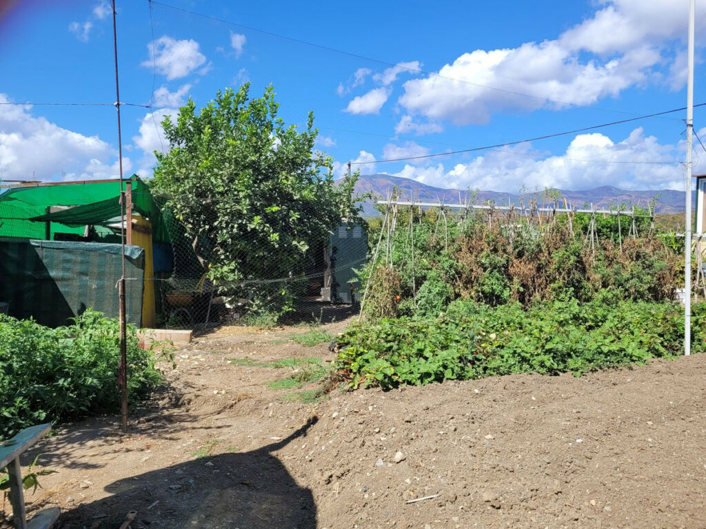 Detached Villa Estepona Málaga - image 16