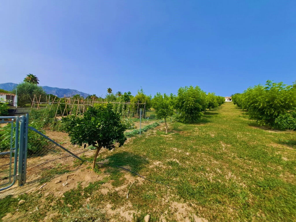 Finca - Cortijo Las Lagunas Málaga - image 17