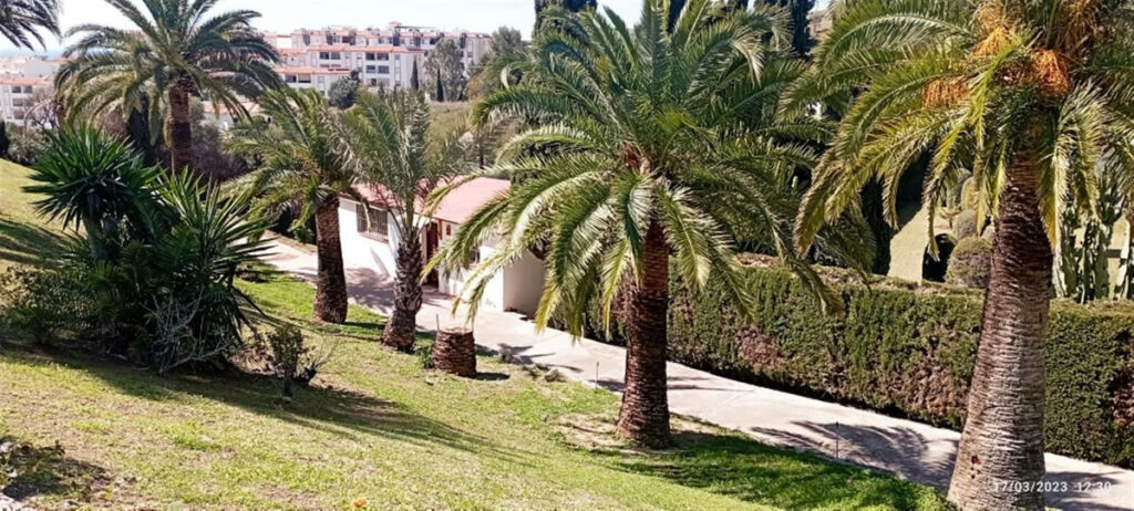 Detached Villa Benalmadena Costa Málaga - image 17