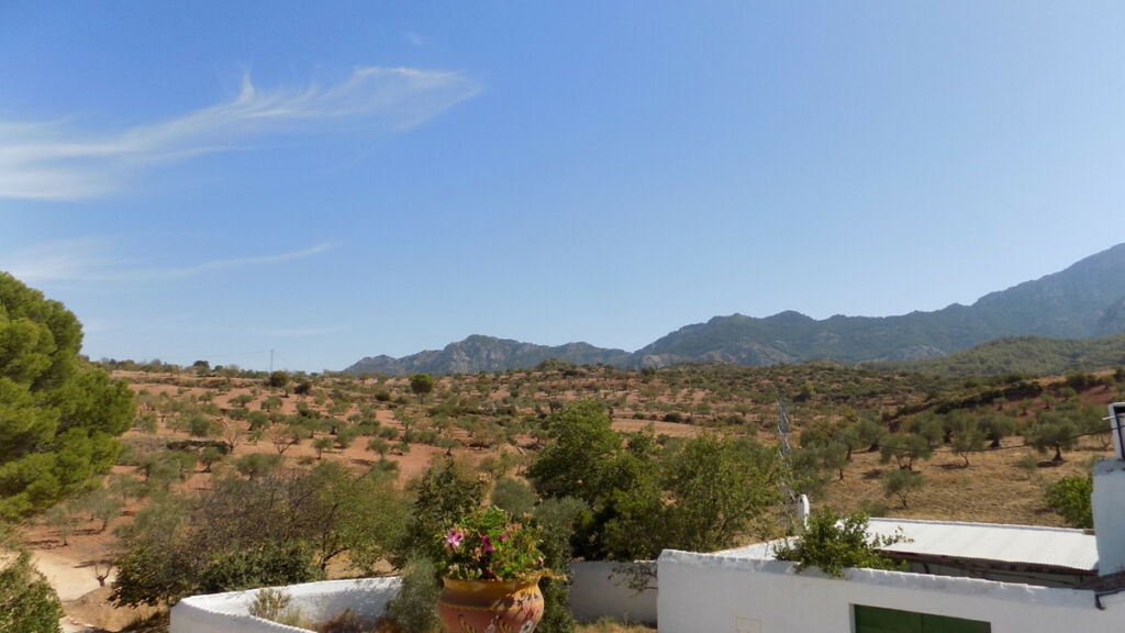 Finca - Cortijo El Burgo Málaga - image 17