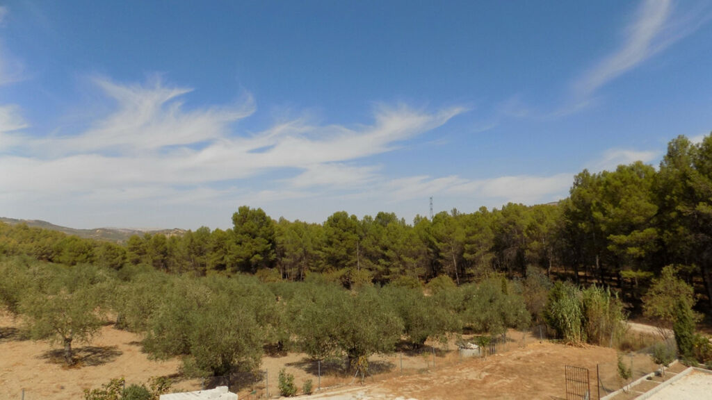 Finca - Cortijo El Burgo Málaga - image 18