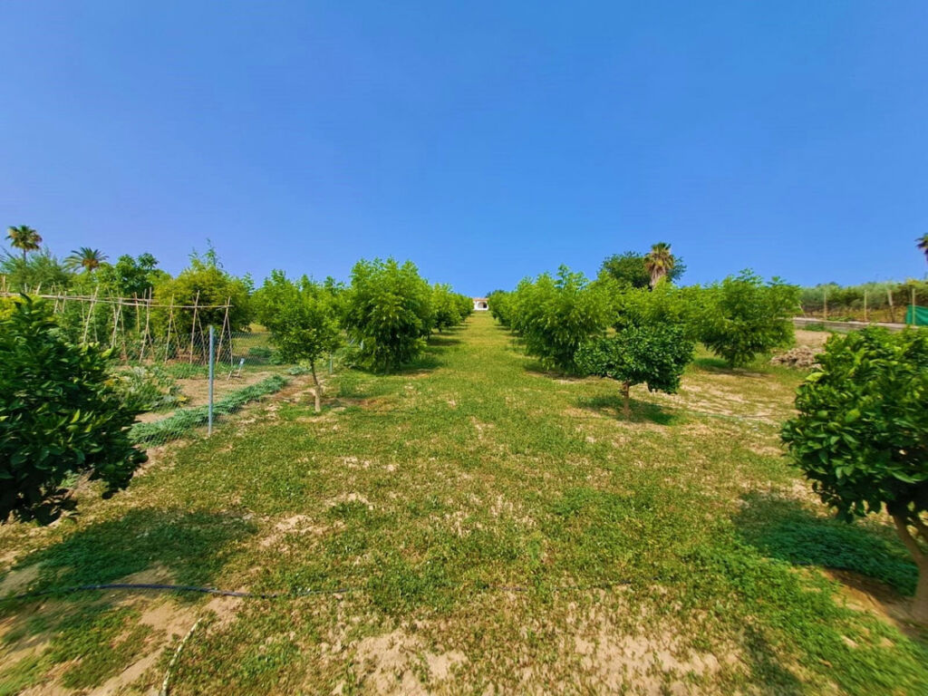 Finca - Cortijo Las Lagunas Málaga - image 18