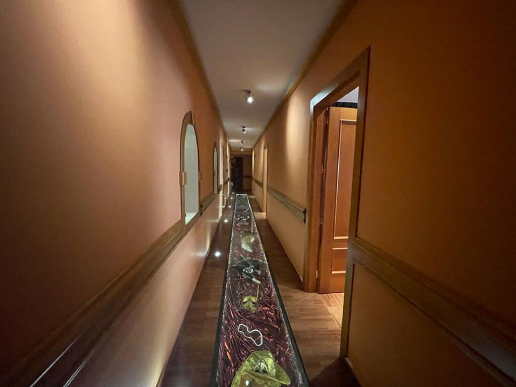 Hotel Alhaurín el Grande Málaga - image 19