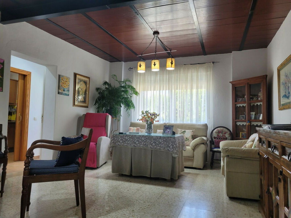 Detached Villa Estepona Málaga - image 19