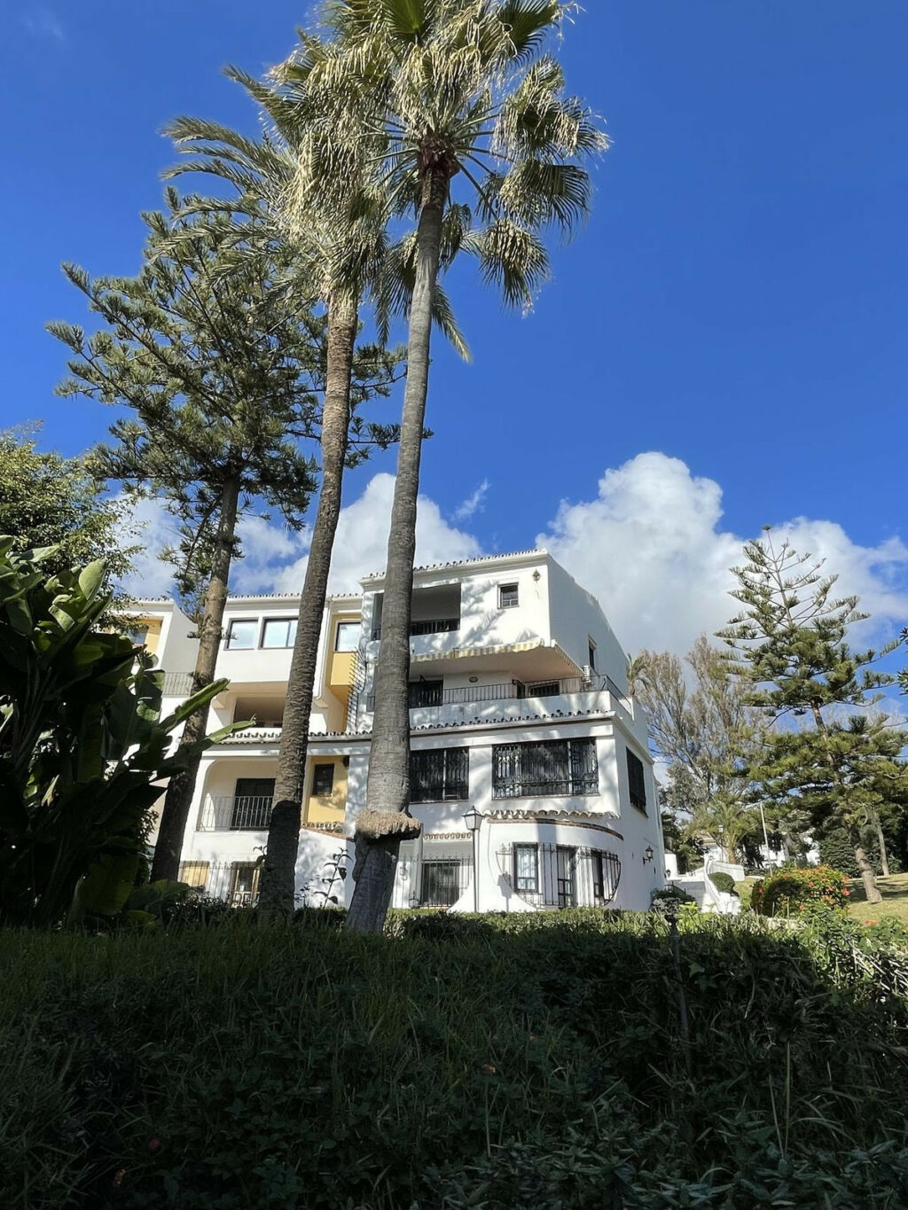 Shop Puerto de Cabopino Málaga - image 19