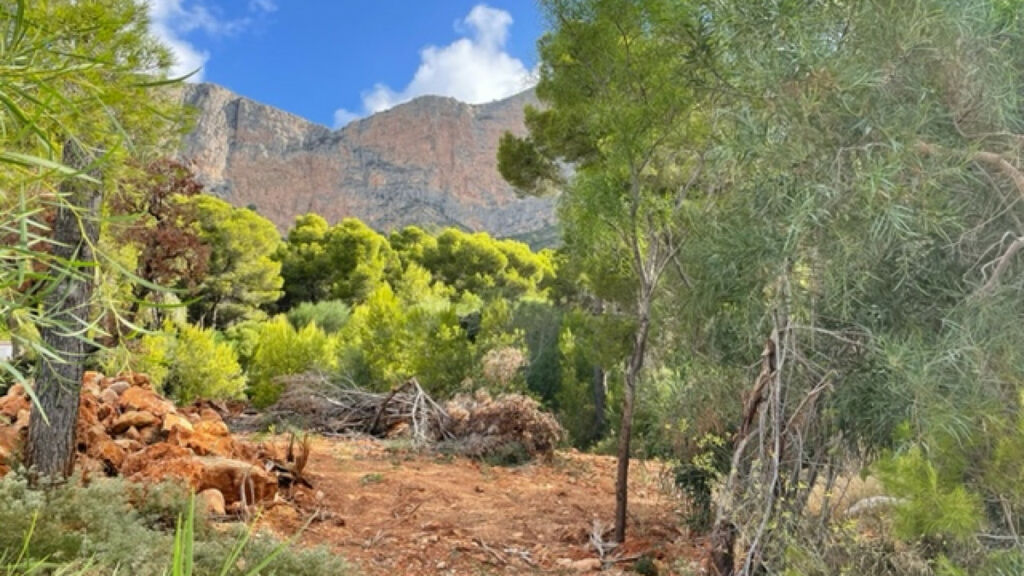 Land Javea Alicante - image 2