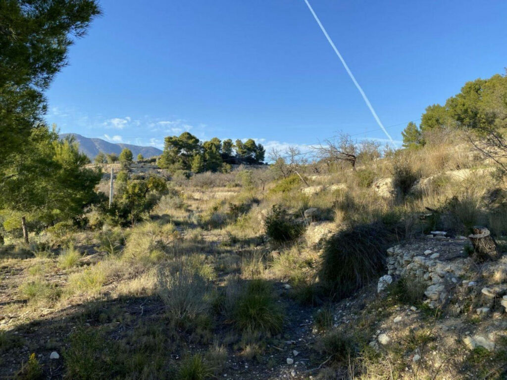 Land Benissa Alicante - image 2