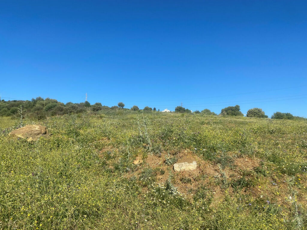 Residential Plot Valle Romano Málaga - image 2