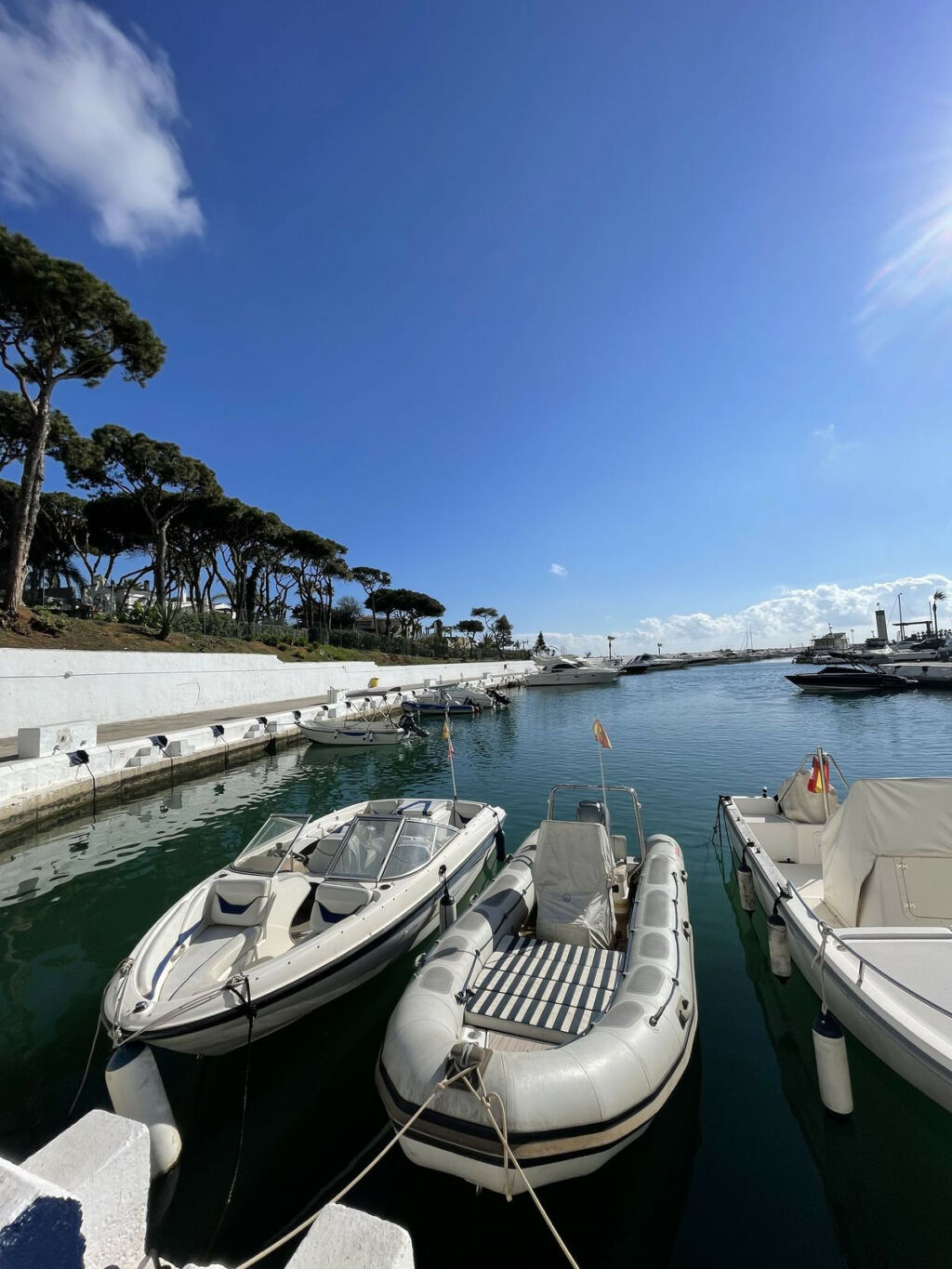 Shop Puerto de Cabopino Málaga - image 20