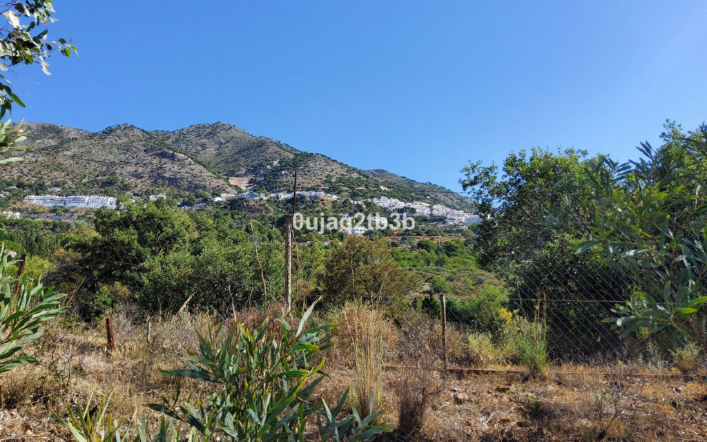Finca - Cortijo Mijas Málaga - image 23