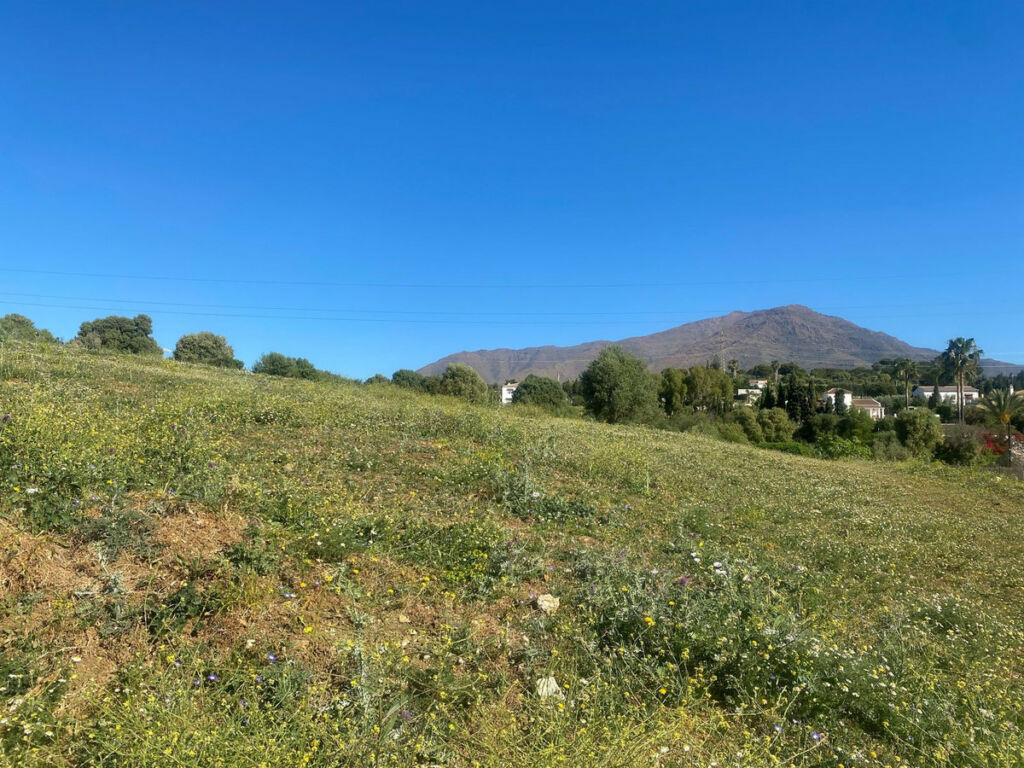 Residential Plot Valle Romano Málaga - image 3