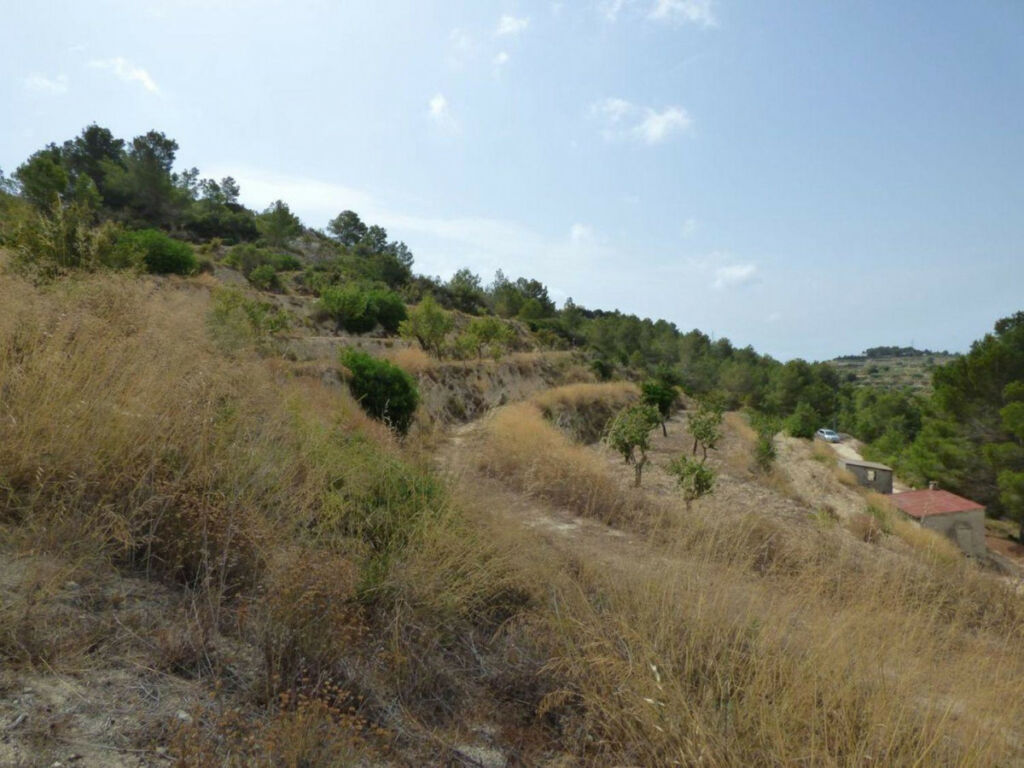 Land Benissa Alicante - image 3