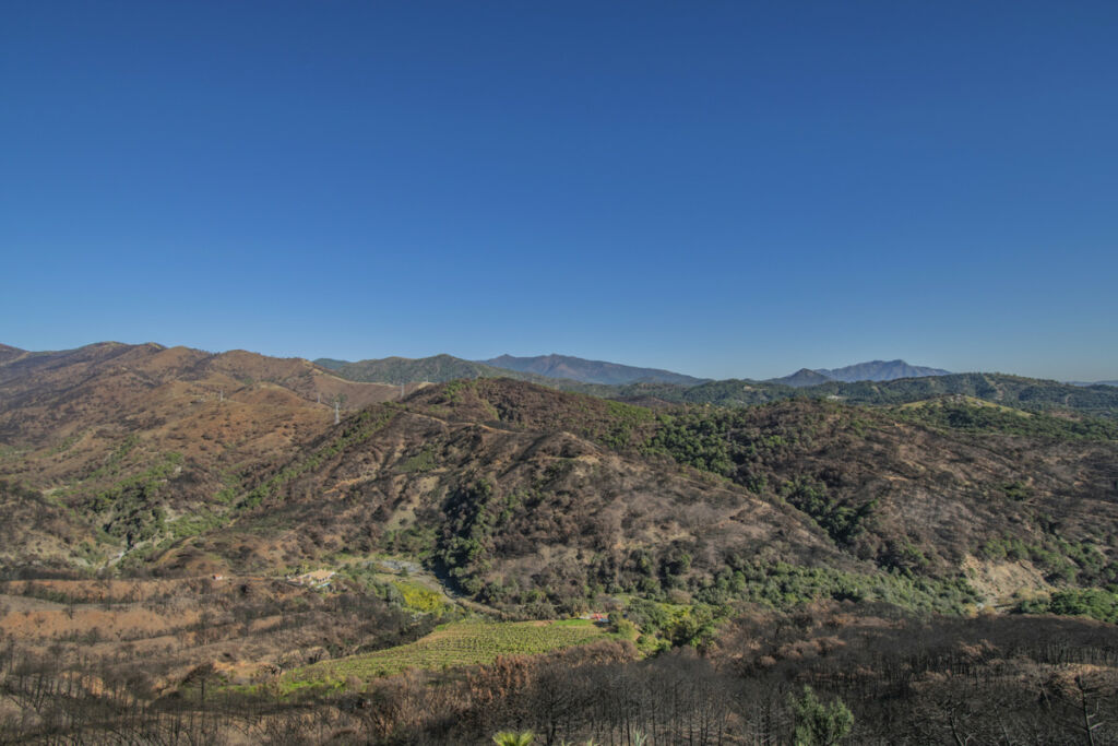 Detached Villa Estepona Málaga - image 33