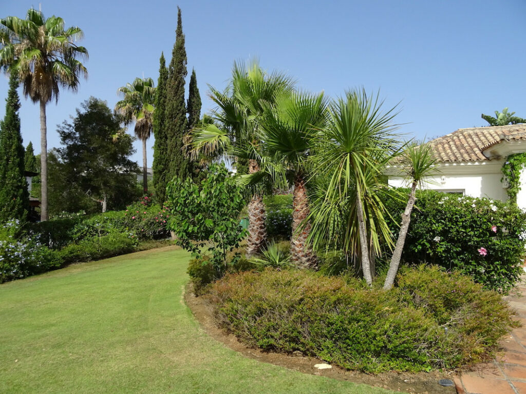 Detached Villa Sotogrande Alto Cádiz - image 34