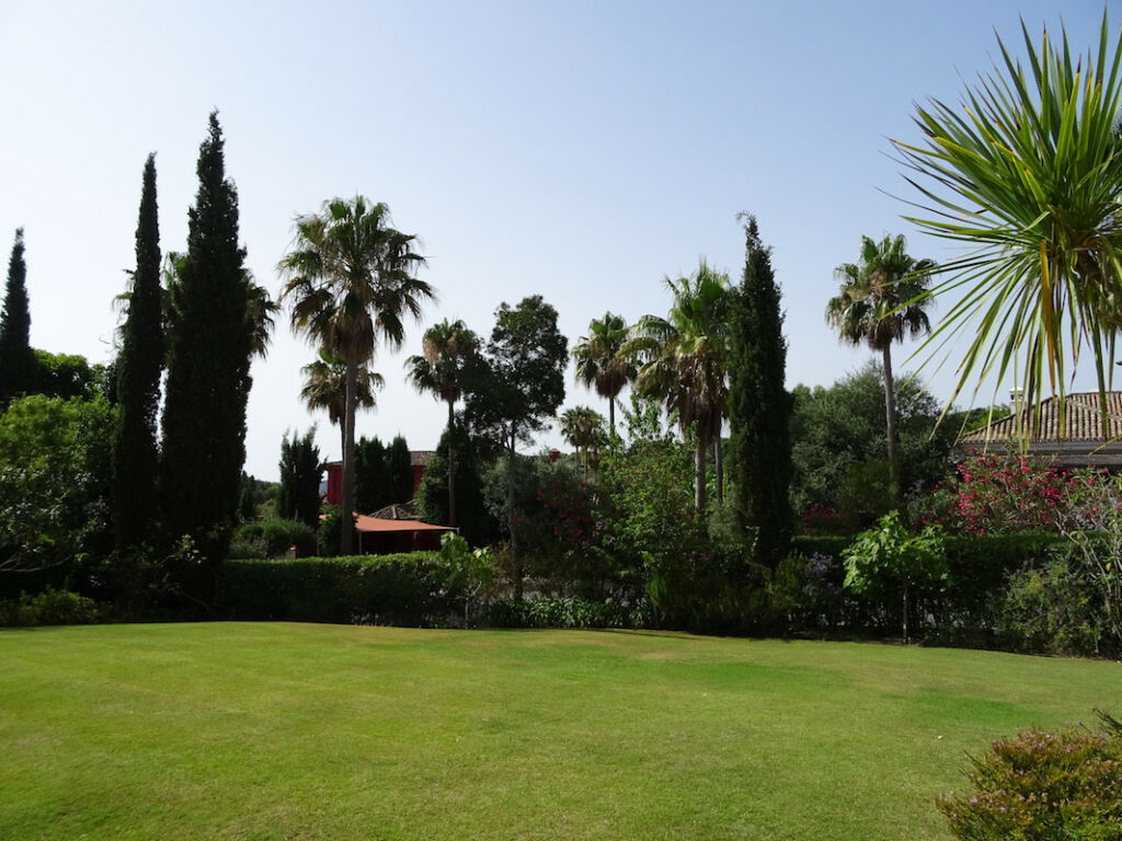 Detached Villa Sotogrande Alto Cádiz - image 37